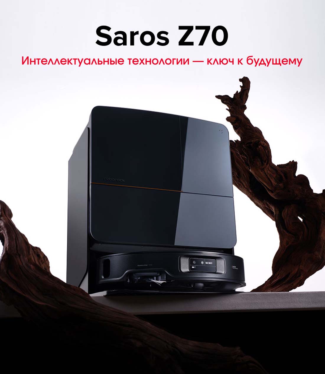 roborock-z70 в Омске roborock-z70