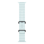 Apple Watch Ultra 2 (2024), 49 мм корпус из титана цвета «Black», ремешок Ocean Band цвета «Ice Blue» Apple Watch Ultra 2 (2024), 49 мм корпус из титана цвета «Black», ремешок Ocean Band цвета «Ice Blue»